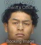 Morales Jesus - Pinellas County, Florida 