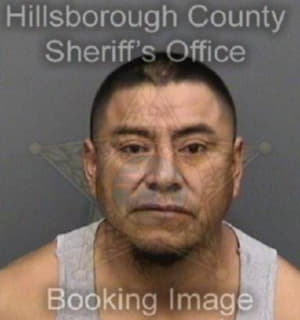 Chimbo Jorge - Hillsborough County, Florida 