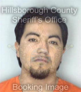 Arreguinortiz Jose - Hillsborough County, Florida 