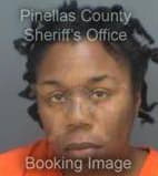 Robinson Sherry - Pinellas County, Florida 