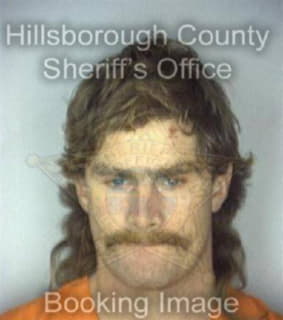 Mccallister David - Hillsborough County, Florida 