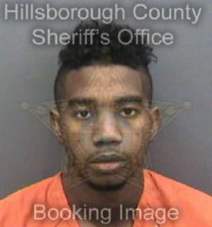 Pierce Donell - Hillsborough County, Florida 