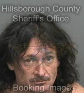 Scanlon William - Hillsborough County, Florida 