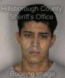 Castelan Alvaro - Hillsborough County, Florida 