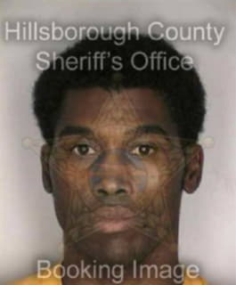 Williams Theodore - Hillsborough County, Florida 