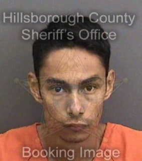 Martinez Erlin - Hillsborough County, Florida 