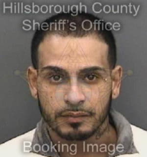 Martinez Luis - Hillsborough County, Florida 