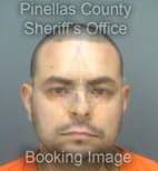 Gonzalezcolon Luis - Pinellas County, Florida 