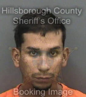 Pazquinones Camilo - Hillsborough County, Florida 