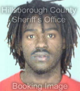 Robinson Chauncey - Hillsborough County, Florida 