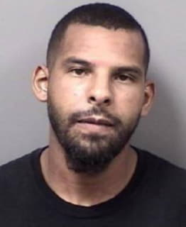 Henriquez David - Citrus County, Florida 