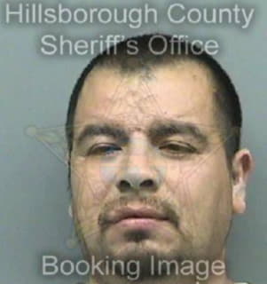 Peralesgomes Ezequiel - Hillsborough County, Florida 