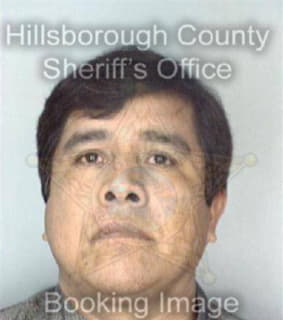 Meneses Filiberto - Hillsborough County, Florida 