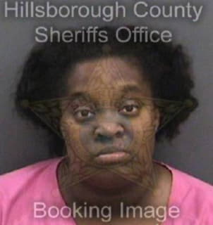 Bennett Shtedria - Hillsborough County, Florida 