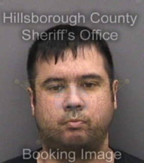 Carillo Alan - Hillsborough County, Florida 