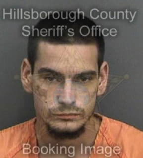 Lowe Alexander - Hillsborough County, Florida 