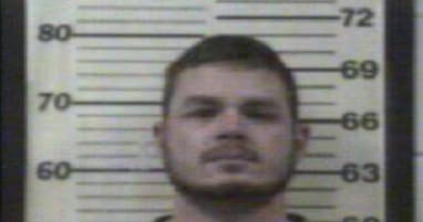 Stinnett Bryan - Roane County, Tennessee 