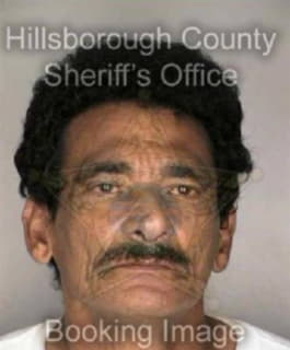 Rodriguez Carlos - Hillsborough County, Florida 