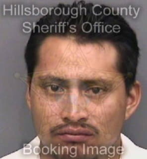 Perezlopez Heriberto - Hillsborough County, Florida 