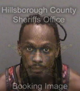 Kelly Steven - Hillsborough County, Florida 