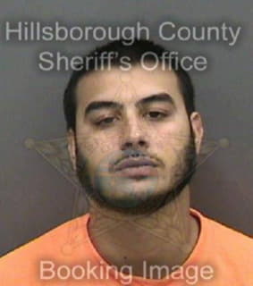 Rivera Anthony - Hillsborough County, Florida 