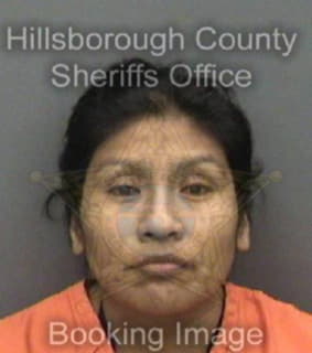 Lopez Antonia - Hillsborough County, Florida 