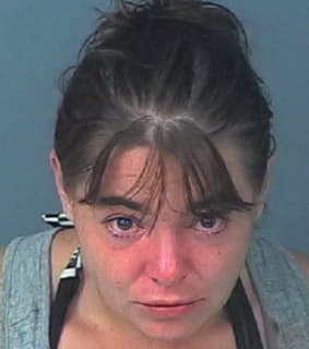 Hungerford Christin - Hernando County, Florida 