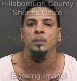 Diaz Christopher - Hillsborough County, Florida 