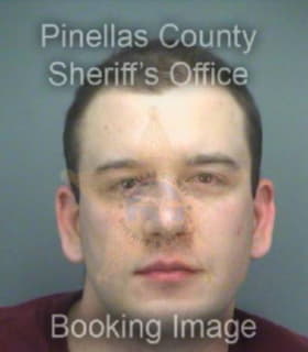 Milankov Daniel - Pinellas County, Florida 