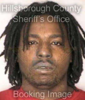 Johnson Lonnie - Hillsborough County, Florida 