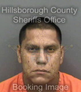 Medrano Rufino - Hillsborough County, Florida 