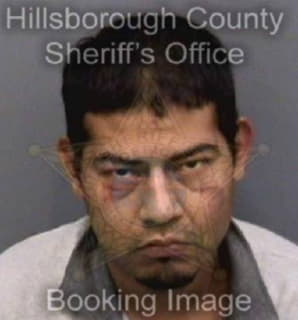 Rodriguez Carlos - Hillsborough County, Florida 