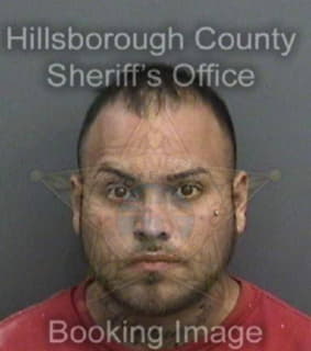 Perez David - Hillsborough County, Florida 