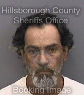 Hernandez Christopher - Hillsborough County, Florida 