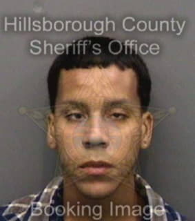 Aliceavazquez Jonathan - Hillsborough County, Florida 