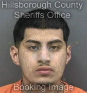 Reynoso Leonel - Hillsborough County, Florida 