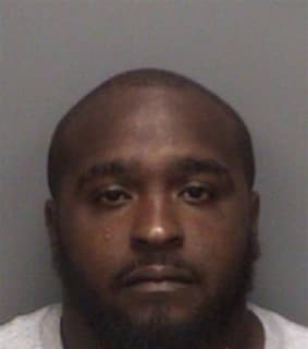 Henderson Shamir - Pinellas County, Florida 