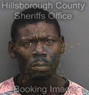 Davis Allen - Hillsborough County, Florida 