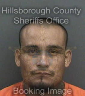 Melche Alvaro - Hillsborough County, Florida 