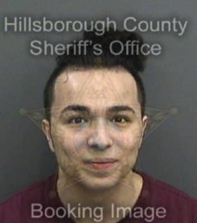 Lopez David - Hillsborough County, Florida 