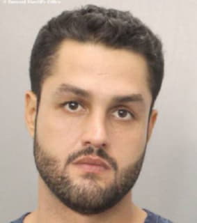 Hernandezgerena Michael - Broward County, Florida 