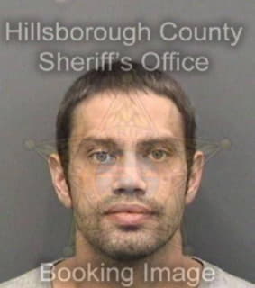 Williams Michael - Hillsborough County, Florida 