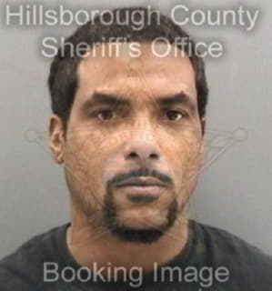 Davis Stanley - Hillsborough County, Florida 