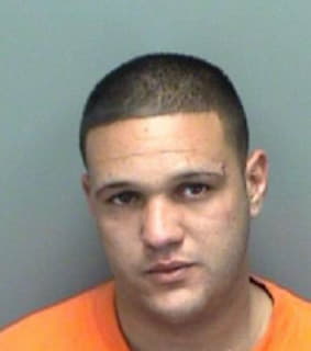 Alvarez Thomas - Pinellas County, Florida 