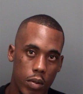 Current Brian - Pinellas County, Florida 