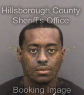 Wilson Christopher - Hillsborough County, Florida 