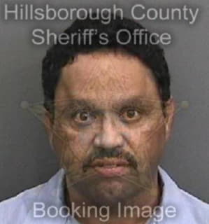 Martinez Edwin - Hillsborough County, Florida 