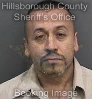 Lopez Luis - Hillsborough County, Florida 