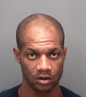 Mitchell Michael - Pinellas County, Florida 