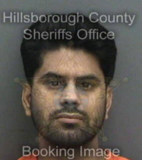 Pandey Pavan - Hillsborough County, Florida 